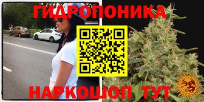 прущий лед Партизанск
