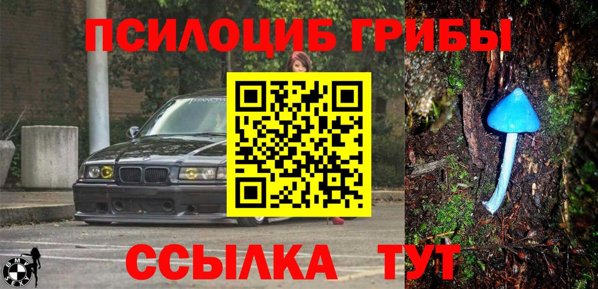 Орёл  Псилоцибиновые грибы мухоморы  Псилоцибиновые грибы GOLDEN TEACHER  Вход с VPN 